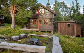 Awesome Home In Rjukan With House A Mountain View